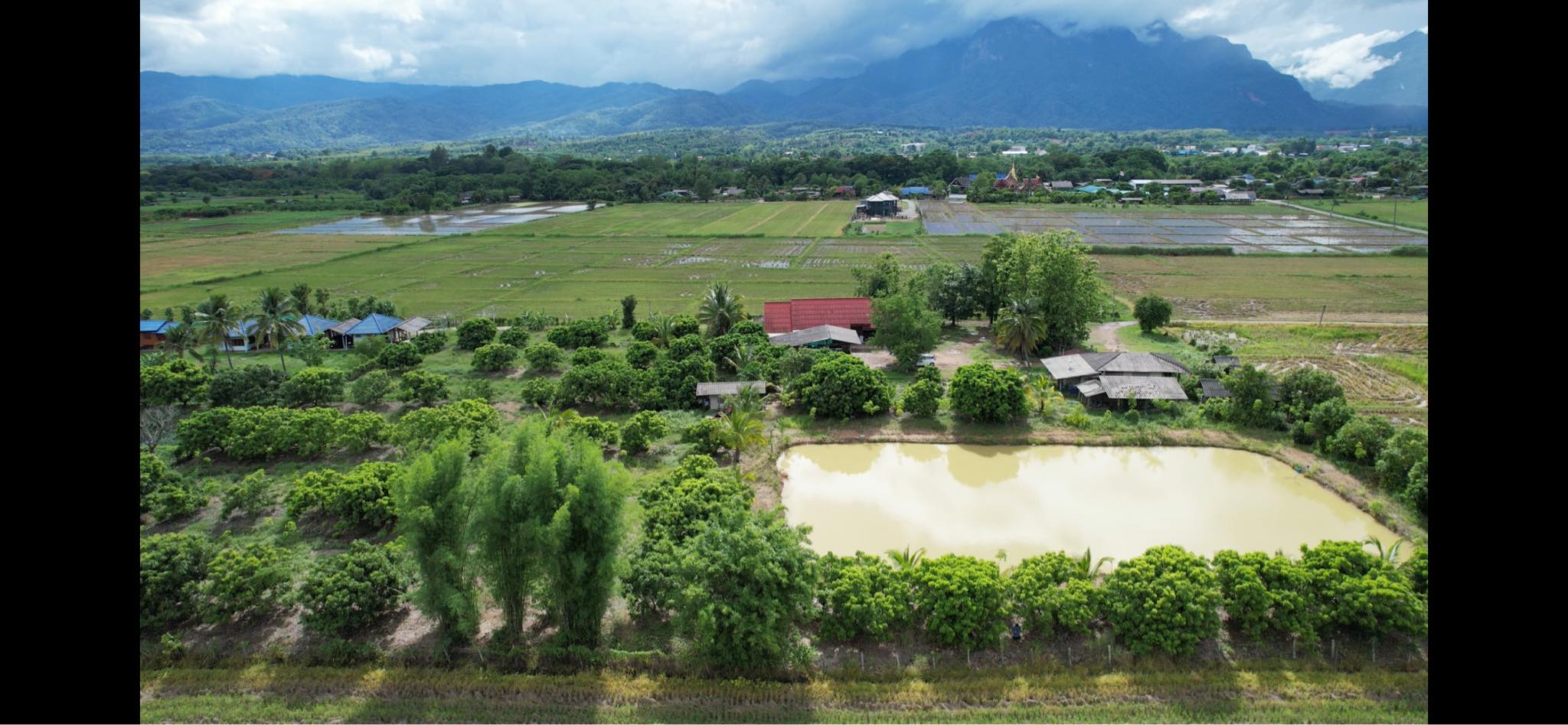 เจาะลึก “เชียงราย” ทำเลทองที่มากกว่าแค่เมืองท่องเที่ยว: ทำไมการครองครองที่ดินที่นี่ถึงเป็นการลงทุนที่คุ้มค่า?